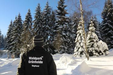 Winteridylle im Waldpark - Loipen ab Haustür