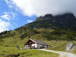 Blick auf die Stegmoosalmhütte (1441 m)